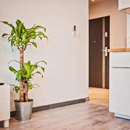 Good Time Centrum Strzelecka Apartamento *