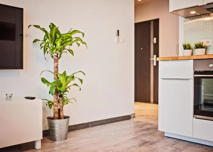 Good Time Centrum Strzelecka Апартаменти *